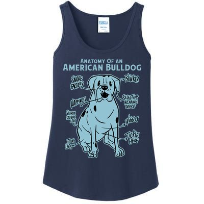 Anatomy Of An American Bulldog Ladies Essential Tank