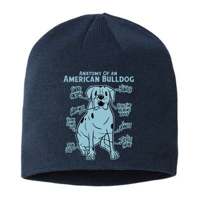 Anatomy Of An American Bulldog Sustainable Beanie