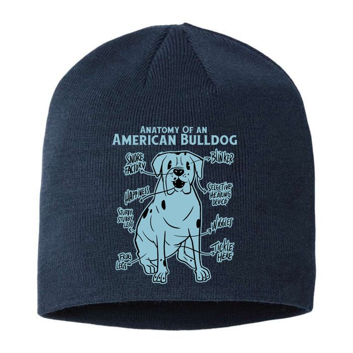 Anatomy Of An American Bulldog Sustainable Beanie