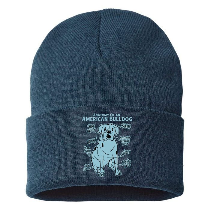 Anatomy Of An American Bulldog Sustainable Knit Beanie