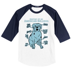 Anatomy Of An American Bulldog Baseball Sleeve Shirt