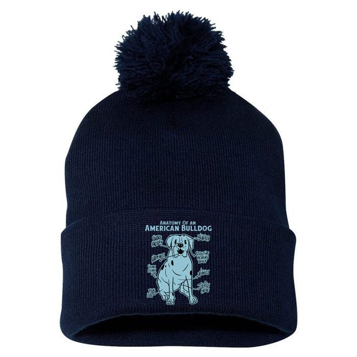 Anatomy Of An American Bulldog Pom Pom 12in Knit Beanie