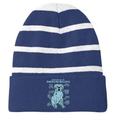 Anatomy Of An American Bulldog Striped Beanie with Solid Band