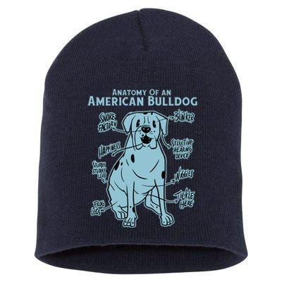 Anatomy Of An American Bulldog Short Acrylic Beanie