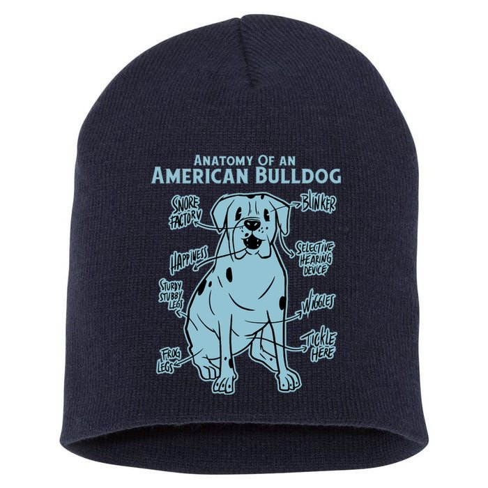 Anatomy Of An American Bulldog Short Acrylic Beanie