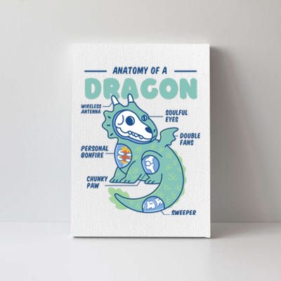 Anatomy Of A Dragon Canvas