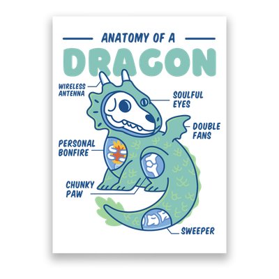 Anatomy Of A Dragon Poster
