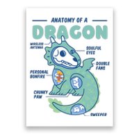 Anatomy Of A Dragon Poster