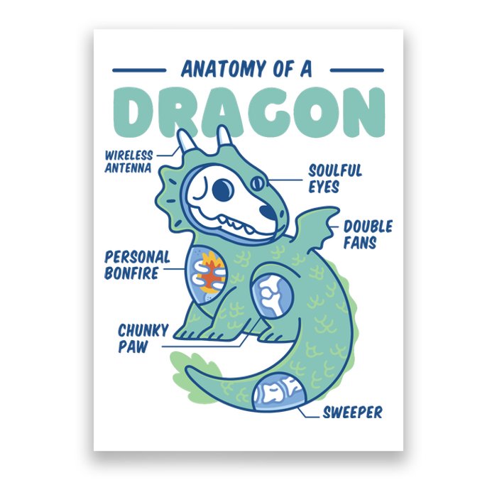 Anatomy Of A Dragon Poster