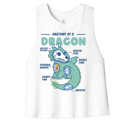 Anatomy Of A Dragon Women's Racerback Cropped Tank