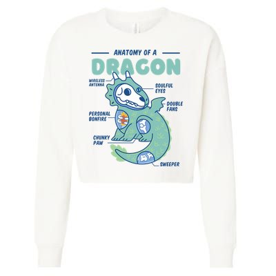 Anatomy Of A Dragon Cropped Pullover Crew