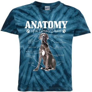 Anatomy Of A Great Dane Funny Cute Dog Mom Dad Kids Tie-Dye T-Shirt