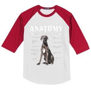 Anatomy Of A Great Dane Funny Cute Dog Mom Dad Kids Colorblock Raglan Jersey