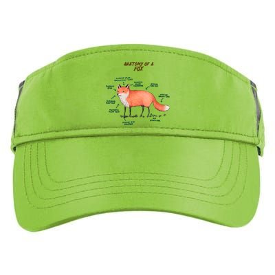 Anatomy Of A Fox Funny Cute Adult Drive Performance Visor