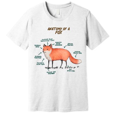 Anatomy Of A Fox Funny Cute Premium T-Shirt