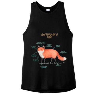 Anatomy Of A Fox Funny Cute Ladies PosiCharge Tri-Blend Wicking Tank