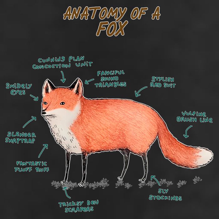 Anatomy Of A Fox Funny Cute 7 Panel Mesh Trucker Snapback Hat