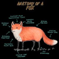 Anatomy Of A Fox Funny Cute Cooling Performance Crew T-Shirt