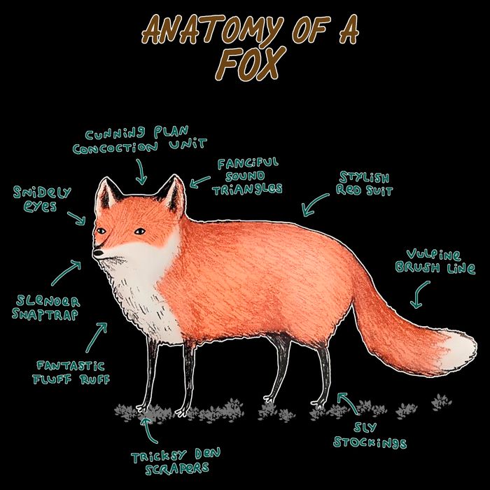 Anatomy Of A Fox Funny Cute Cooling Performance Crew T-Shirt