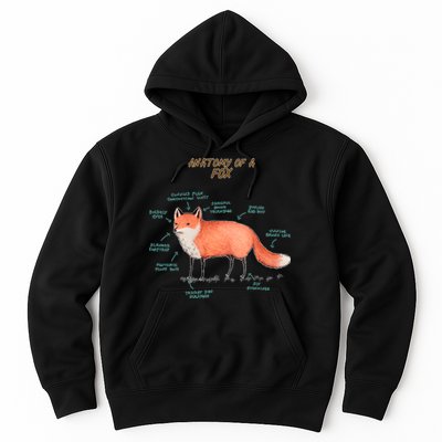 Anatomy Of A Fox Funny Cute Hoodie
