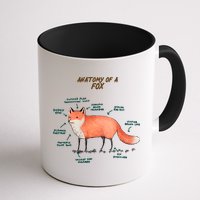 Anatomy Of A Fox Funny Cute Mug