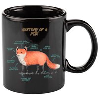 Anatomy Of A Fox Funny Cute 11oz C Handle Ceramic Mug