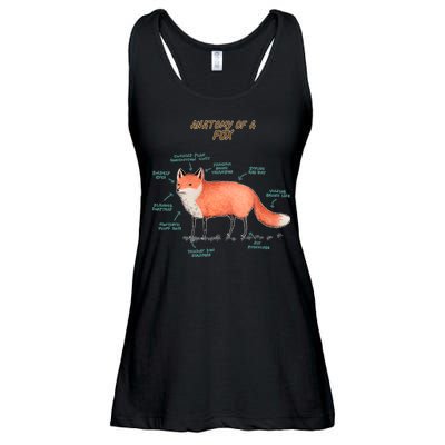 Anatomy Of A Fox Funny Cute Ladies Essential Flowy Tank
