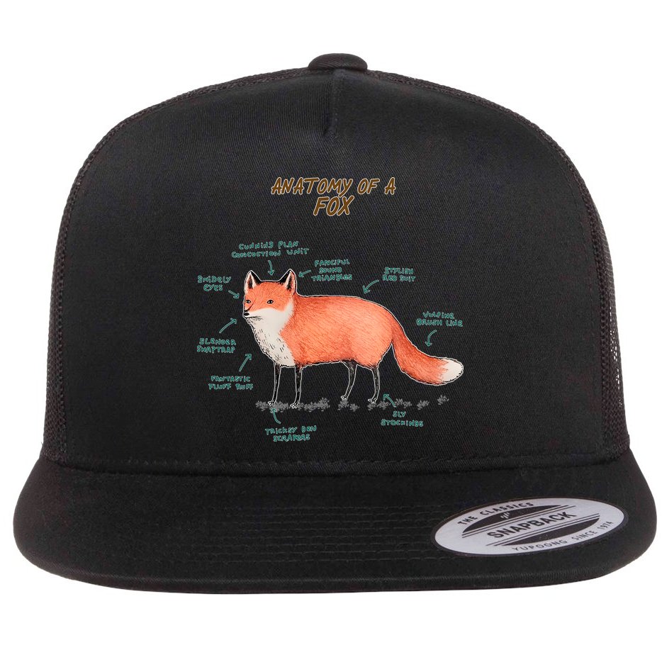 Anatomy Of A Fox Funny Cute Flat Bill Trucker Hat