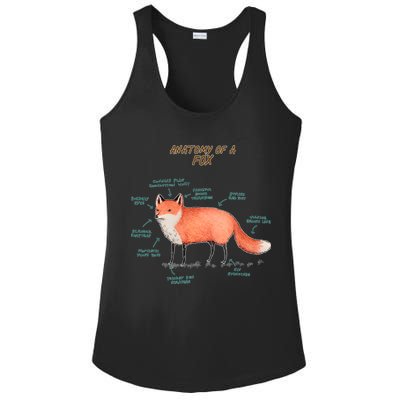 Anatomy Of A Fox Funny Cute Ladies PosiCharge Competitor Racerback Tank