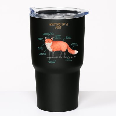 Anatomy Of A Fox Funny Cute Tumbler
