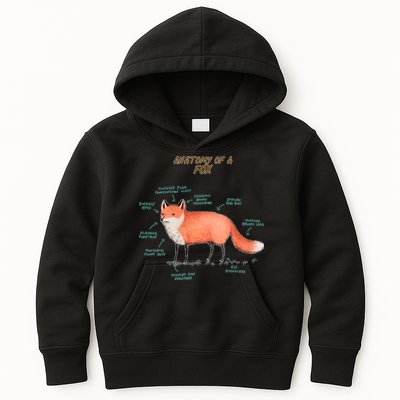 Anatomy Of A Fox Funny Cute Kids Hoodie