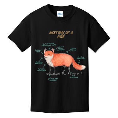 Anatomy Of A Fox Funny Cute Kids T-Shirt