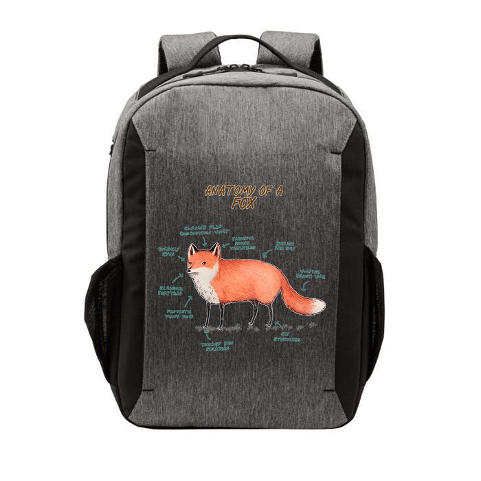 Anatomy Of A Fox Funny Cute Vector Backpack