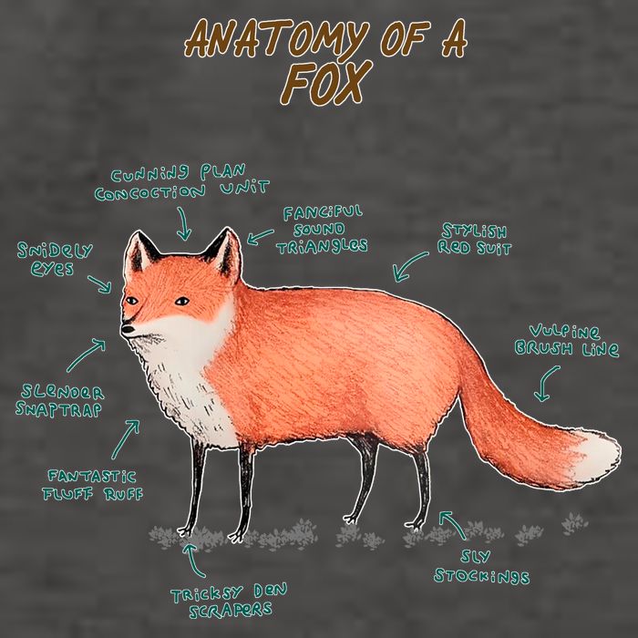 Anatomy Of A Fox Funny Cute Vector Backpack