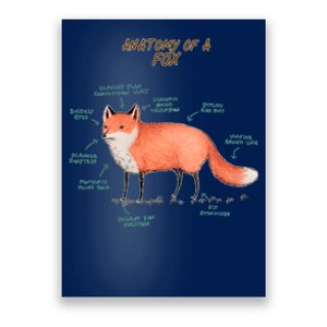 Anatomy Of A Fox Funny Cute Poster