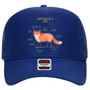 Anatomy Of A Fox Funny Cute High Crown Mesh Back Trucker Hat