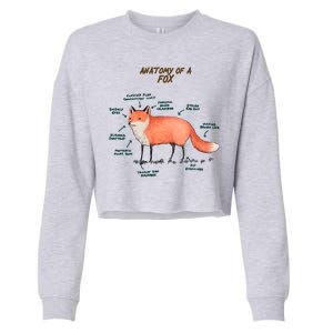 Anatomy Of A Fox Funny Cute Cropped Pullover Crew