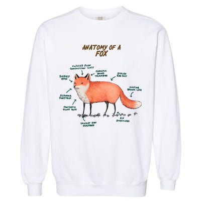 Anatomy Of A Fox Funny Cute Garment-Dyed Sweatshirt
