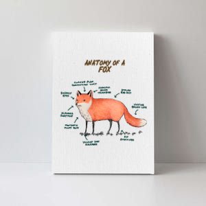 Anatomy Of A Fox Funny Cute Canvas