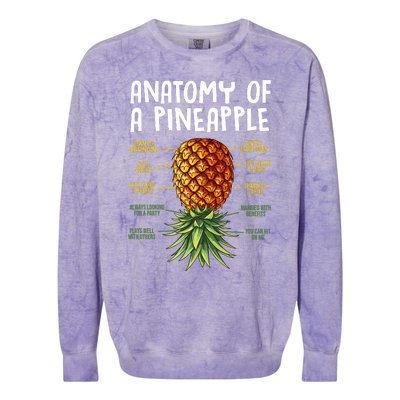 Anatomy Of A Pineapple Swinger Colorblast Crewneck Sweatshirt