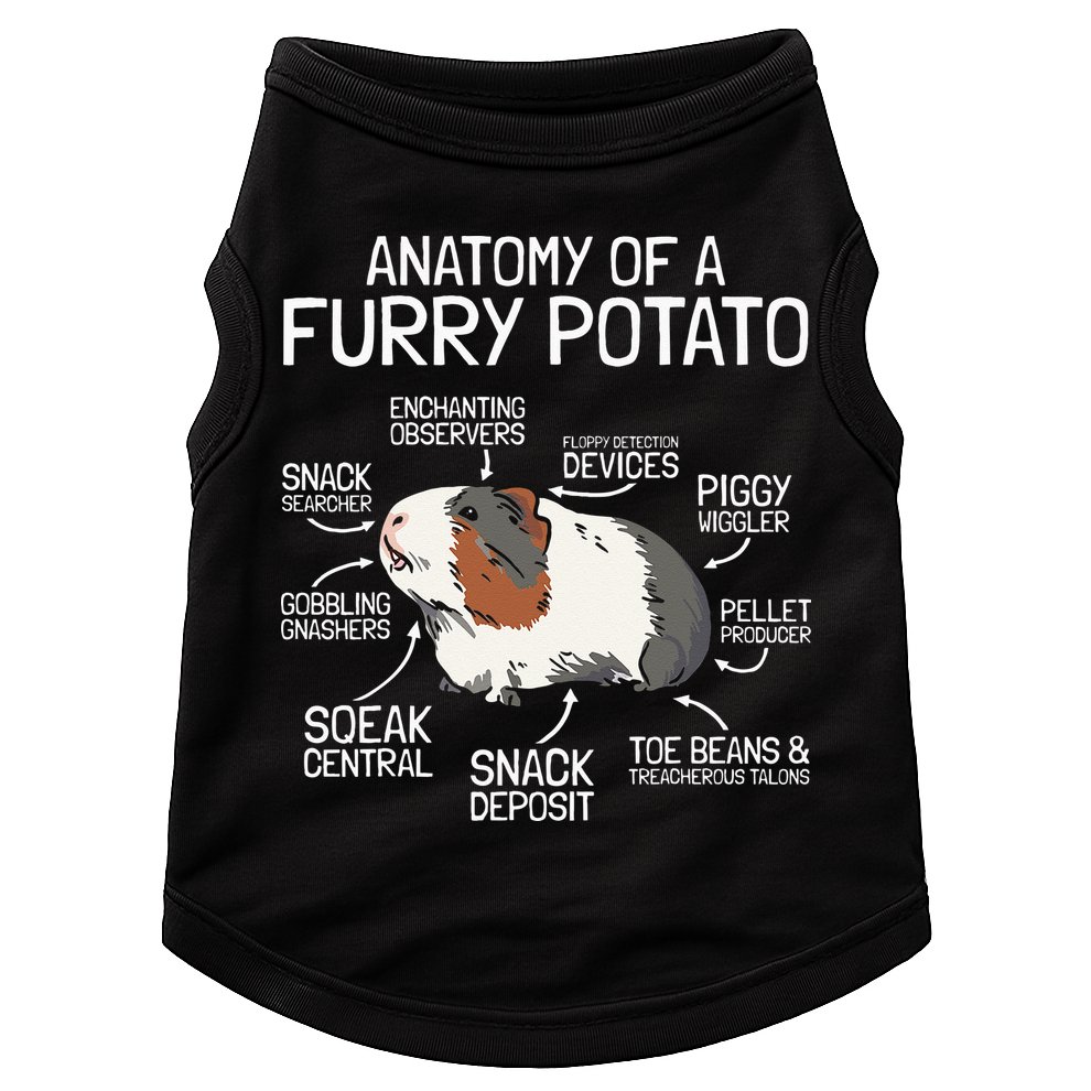Anatomy Of A Furry Potato Guinea Pig Doggie Tank