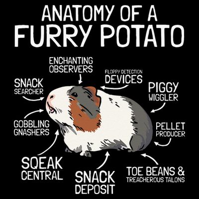 Anatomy Of A Furry Potato Guinea Pig T-Shirt