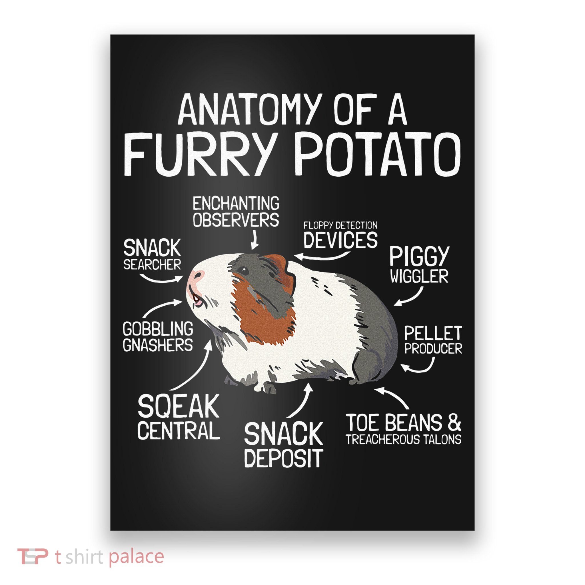 Anatomy Of A Furry Potato Guinea Pig Poster