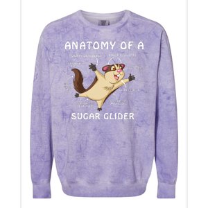 Anatomy Of A Sugar Glider Colorblast Crewneck Sweatshirt