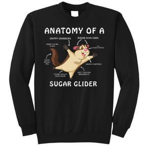 Anatomy Of A Sugar Glider Sweatshirt