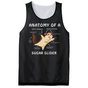 Anatomy Of A Sugar Glider Mesh Reversible Basketball Jersey Tank