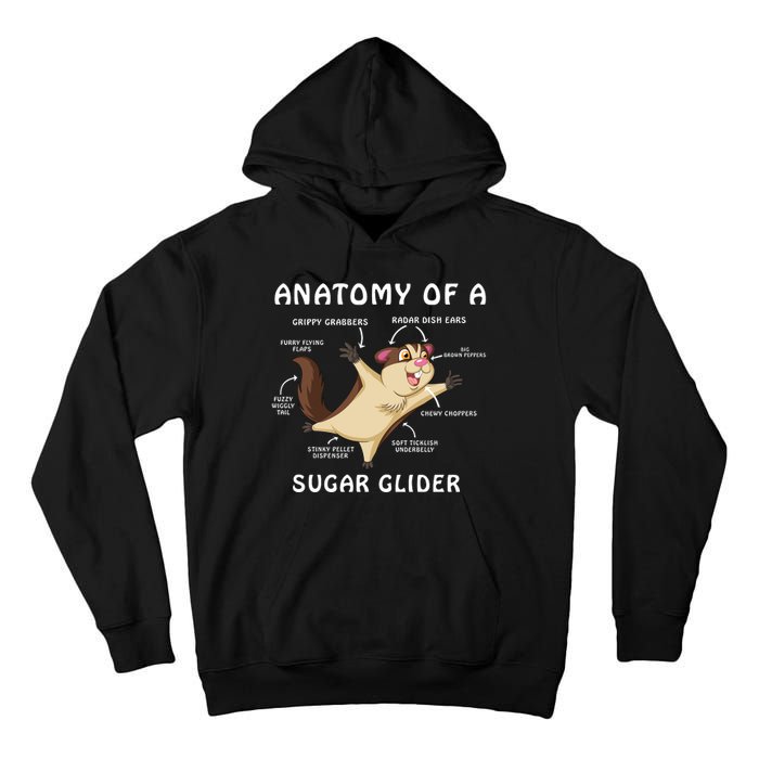 Anatomy Of A Sugar Glider Tall Hoodie