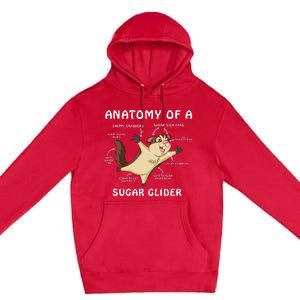 Anatomy Of A Sugar Glider Premium Pullover Hoodie