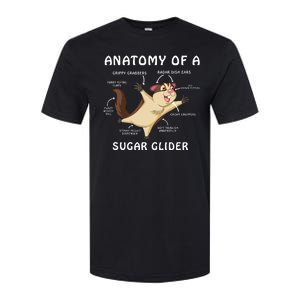 Anatomy Of A Sugar Glider Softstyle CVC T-Shirt