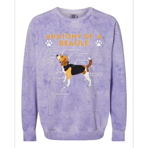 Anatomy Of A Beagle Funny Beagle Dog Lover Colorblast Crewneck Sweatshirt